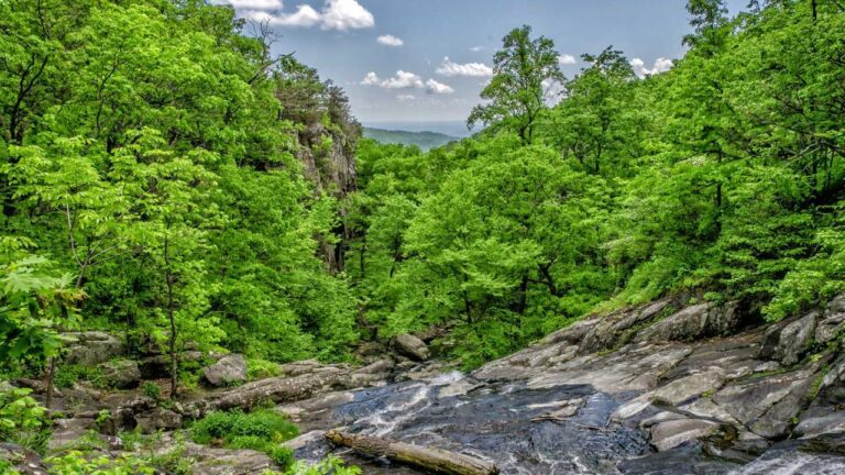 How To Register With Cricbet99 Vip Club Official App?